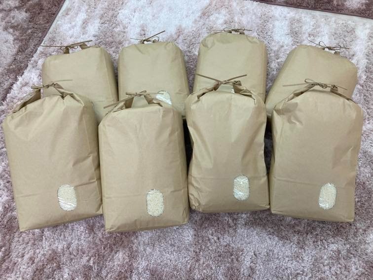 代表コラム｜倉庫が空っぽ！の声に応えてご支援ありがとうございます。